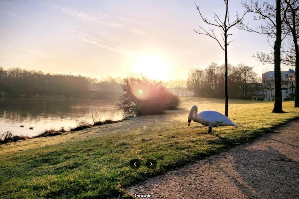 Sejour En Famille Ou Amis A Disneyland & Paris Lognes Bagian luar foto
